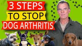Dogs Arthritis Pain Relief (3 Natural Steps to Treatment)