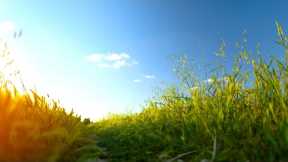 Beautiful Meditation Sound to Reduce Stress Improve Mental Well-Being | Relaxing Music