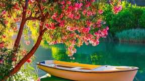 Relaxing Music for Studying, Beautiful Relaxing Music for Study and Work Reduce Stress