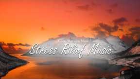 Morning Music Helps Relax the Mind, Reduce Stress Great - Birds Singing Peacefully