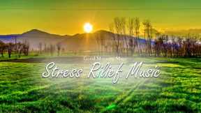 Morning Relaxing Music - Wake Up Happy and Happy - Soft Music Helps Reduce Stress, Study, Meditate