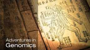 Traditional medicine: A new look at nature’s treasures| Adventures in Genomics