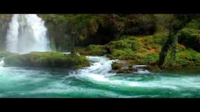 Instant Relief from Stress and Anxiety | Detox Negative Emotions, Calm Nature Healing Sleep Music