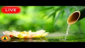 🔴 Relaxing Music 24/7, Stress Relief Music, Sleep Music, Meditation Music, Study, River Sounds