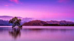 Relaxing Music to reduce your stress levels and feel more relaxed, Perfect Relaxing music for sleep