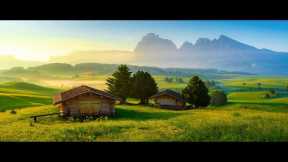 Relaxing Music With Beautiful Nature Videos 🍀 Reduce Stress, Anxiety & Depression 🌿 Soul Healing