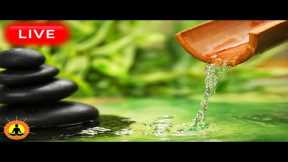 🔴 Relaxing Music 24/7, Sleep Music, Stress Relief Music, Spa, Meditation, Yoga, Zen, Sleeping Music