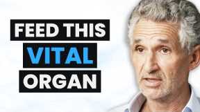 HEAL YOUR GUT: What to Eat & When to Eat for Your MICROBIOME | Tim Spector