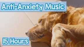 Calming Music for Puppies with Anxiety! Soothing Lullabies for Anxious and Stressed Dogs! (Tested)