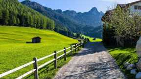 Soothing Stress Relief Music With Beautiful Nature 🍀 Stop Anxiety, Depression #3
