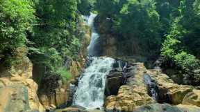 Relax your mind, reduce nervous disorders, relieve stress with Nature Sounds and Piano Music RT429