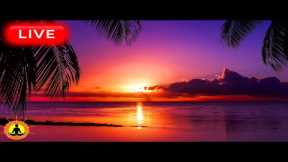 🔴 Relaxing Music 24/7, Stress Relief Music, Sleep Music, Meditation Music, Study, Rain Sounds