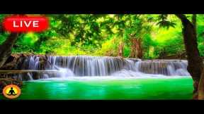🔴 Relaxing Music 24/7, Stress Relief Music, Sleep Music, Meditation Music, Study, Flowing River