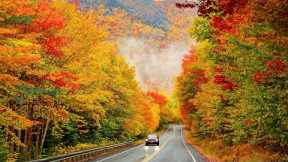 Relaxing Piano Music with anxiety and stress disorders Autumn Nature - Peaceful Instrumental Music