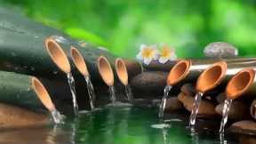 Relaxing Water Music ● Reduce Stress, Calm The Mind, Health Recovery