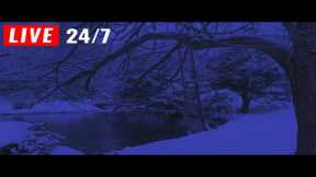 🔴 Snow Falling on Lake for Sleeping, Insomnia, Relaxing, Meditation, reduce Stress