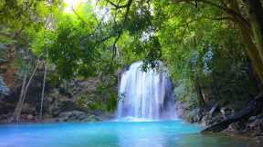 Deep Healing Music, Healing Your Nervous System, Instant Relief from Stress and Anxiety, Calm Nature