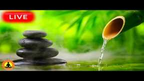 🔴 Relaxing Music 24/7, Stress Relief Music, Sleep Music, Meditation Music, Study, Flowing Stream