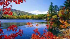 Beautiful Relaxing Music Stress Relief - Soothing Music With Nature Sound & Calm The Mind, 42