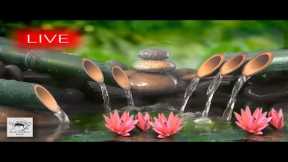 🔴 Relaxing Music 24/7, Stress Relief Music, Meditation, Spa, Sleep, Zen, Calming Music, Study, Yoga