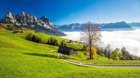 Relaxing Music With Beautiful Nature Videos 🍀 Reduce Stress, Anxiety & Depression 🌿 Soul Healing
