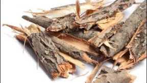 6 Best Natural Pain Killers for Arthritis Pain and Inflammation ! !!