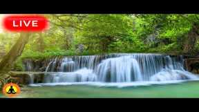 🔴 Relaxing Zen Music 24/7, Stress Relief Music, Sleep Music, Meditation Music, Study, Waterfall