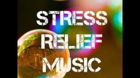 Easy way to reduce stress, stress relief music, stress lofi