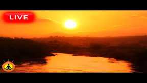 🔴 Relaxing Music 24/7, Sleep Music, Stress Relief Music, Spa, Meditation, Yoga, Zen, Ocean Sounds