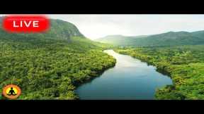 🔴 Relaxing Music 24/7, Stress Relief Music, Sleep Music, Meditation Music, Calming Music, River