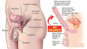 4 Exercises That Will Improve Your Pelvic Floor Strength