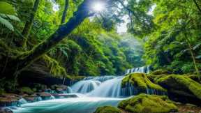 Relaxing Music With Beautiful Nature Videos 🍀 Reduce Stress, Anxiety & Depression 🌿 Soul Healing #1
