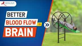 Better Blood Flow in Brain | GE71 Inversion Machine | Out Door Gym Equipment | Garden gym Equipment