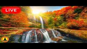 🔴 Relaxing Music 24/7, Stress Relief Music, Sleep Music, Meditation Music, Study, Waterfall Sounds