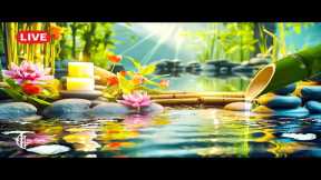 🔴 Healing Music for Anxiety Disorders , Stress and Chronic Fatigue 🌿 Heal the Mind