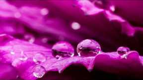 RELAXING MUSIC TO CALM THE MIND AND REDUCE STRESS.