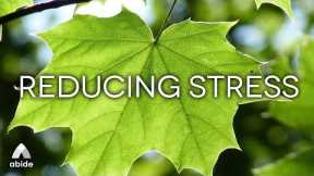 174Hz Physical Emotional Healing Music:REDUCING STRESS May Help Reduce Cortisol Levels in Your Body