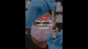 Clues about the cause of long COVID? #Shorts