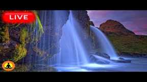 🔴 Relaxing Music 24/7, Sleep Music, Stress Relief Music, Spa, Meditation, Yoga, Zen, Waterfall Sound