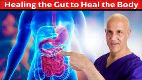 The GUT:  Your Body's Master Healer and Disease Fighter!  Dr. Mandell