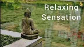 Relaxing Sensation | sleep Music | SLEEP INSTANTLY |Reduce Stress