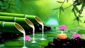 Relaxing music 🎵 Sleep Music 💤 Stress relief Music, Spa, Meditation, Yoga, sleeping music 🎶