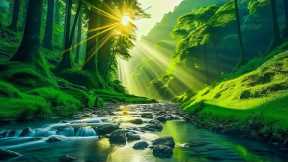 Healing Music Calm the Mind, Reduce Stress 🌿 Calms the Nervous System and Pleases the Soul