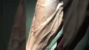 Hard to believe | lost one of the finest #joesthetics #shorts #rip #fitness #gym #workout