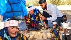 A Tribal Woman's Healing Journey: Traditional Medicine and Seeking Medical Help