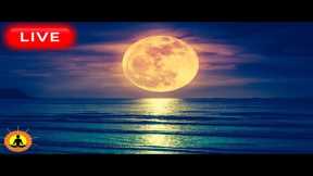 🔴 Sleep Music 24/7, Calming Music, Relaxing Music, Sleep, Meditation Music, Study, Sleeping Music