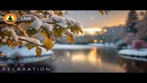 🔴 Relaxing Music 24/7, Stress Relief Music, Sleep Music, Meditation Music, Study, Calming Music