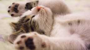 Top 5 Sleep Health Hacks: Unlock Restful Nights