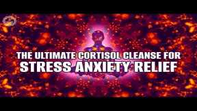 Cortisol Detox - 741 Hz - The Ultimate Cortisol Cleanse For Stress Anxiety Relief And Inner Balance