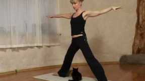 YOGA FAIL !! Esther Ekhart Cat Attack.